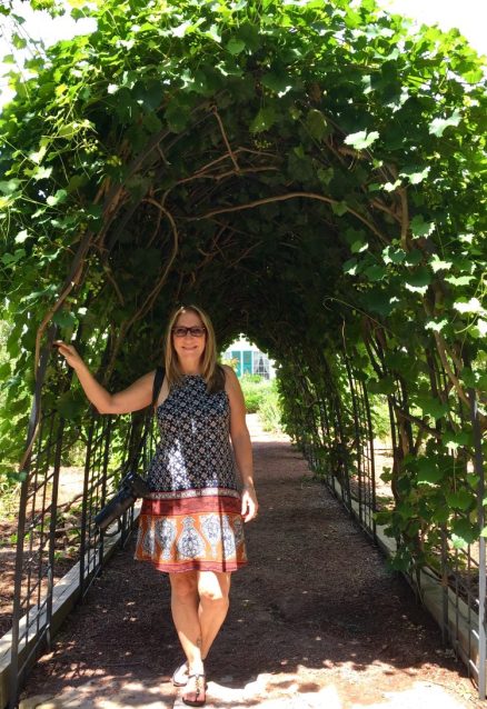 The grapevine was thick and lush over the arched walk this time